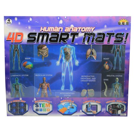 POPAR Human Anatomy Smart Mats, Set of 4 SMHA